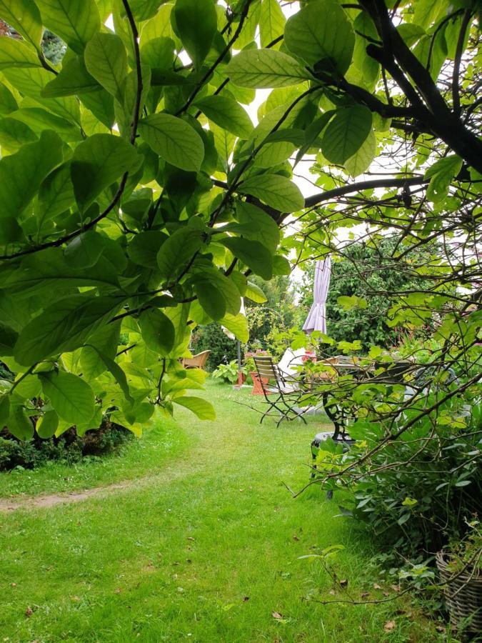 B&B Aan De Limes In Maurik Exteriör bild