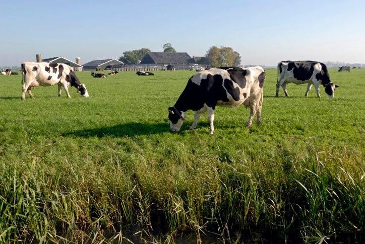 B&B Aan De Limes In Maurik Exteriör bild